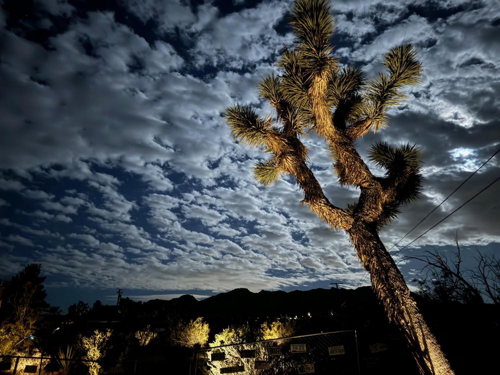 Float Pool, Hot Tub, Sauna, Views, Telescope-Skywatchers Haven Joshua Tree Esterno foto