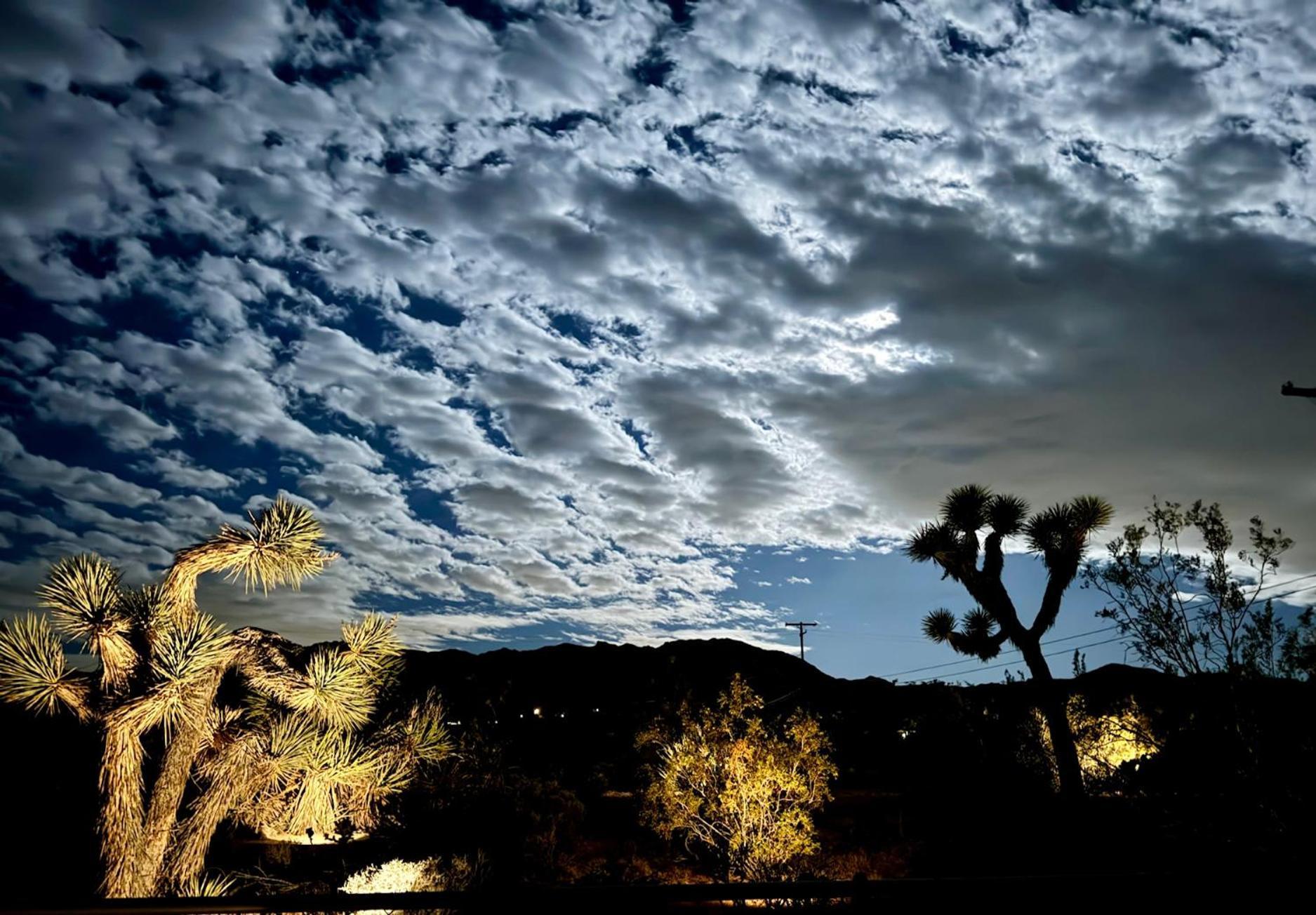 Float Pool, Hot Tub, Sauna, Views, Telescope-Skywatchers Haven Joshua Tree Esterno foto