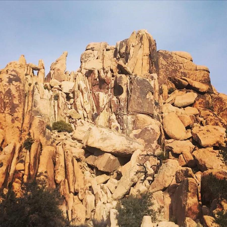 Float Pool, Hot Tub, Sauna, Views, Telescope-Skywatchers Haven Joshua Tree Esterno foto